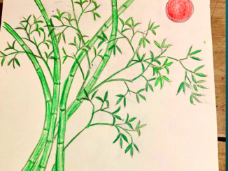 vẽ cây tre