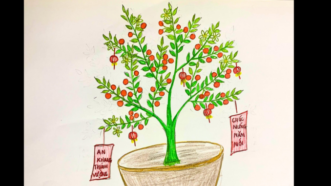 Vẽ cây quất ngày tết
